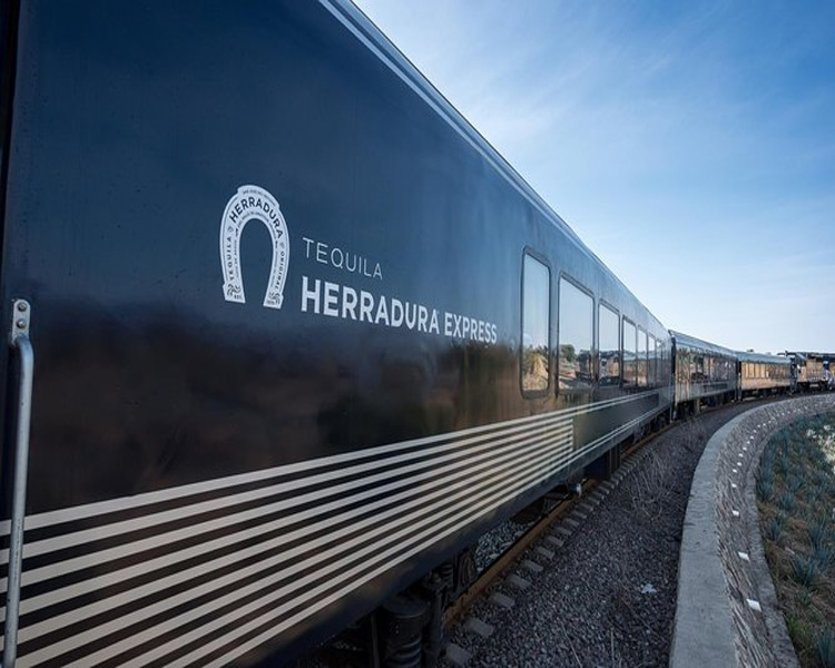 Visita a Tequila con el tren Herradura Express desde Guadalajara NAO